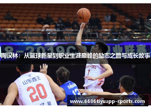 陶汉林：从篮球新星到职业生涯巅峰的励志之路与成长故事