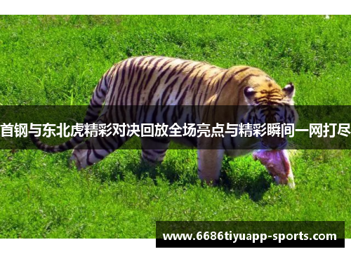 首钢与东北虎精彩对决回放全场亮点与精彩瞬间一网打尽